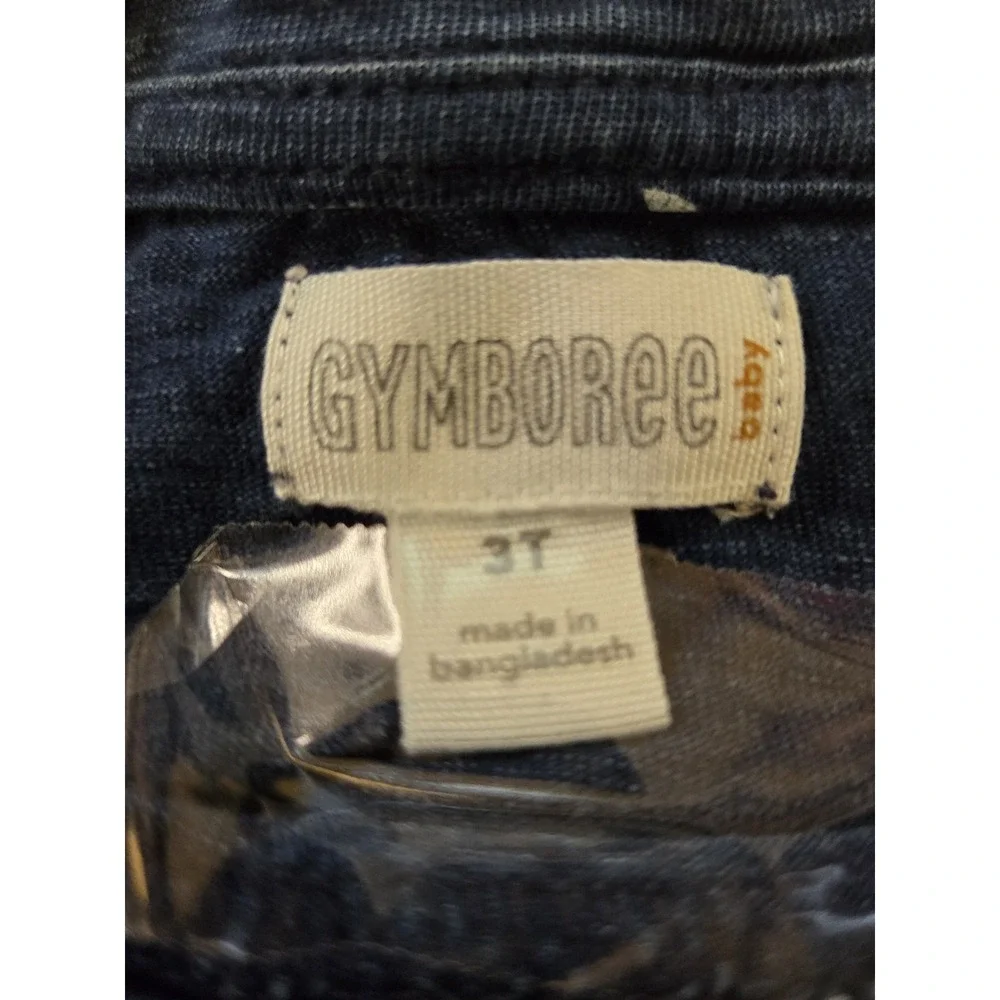 082 Gymboree Girls 3T Paisley Fit/ Flare Long Sleeve Blue White Round Neck Dress